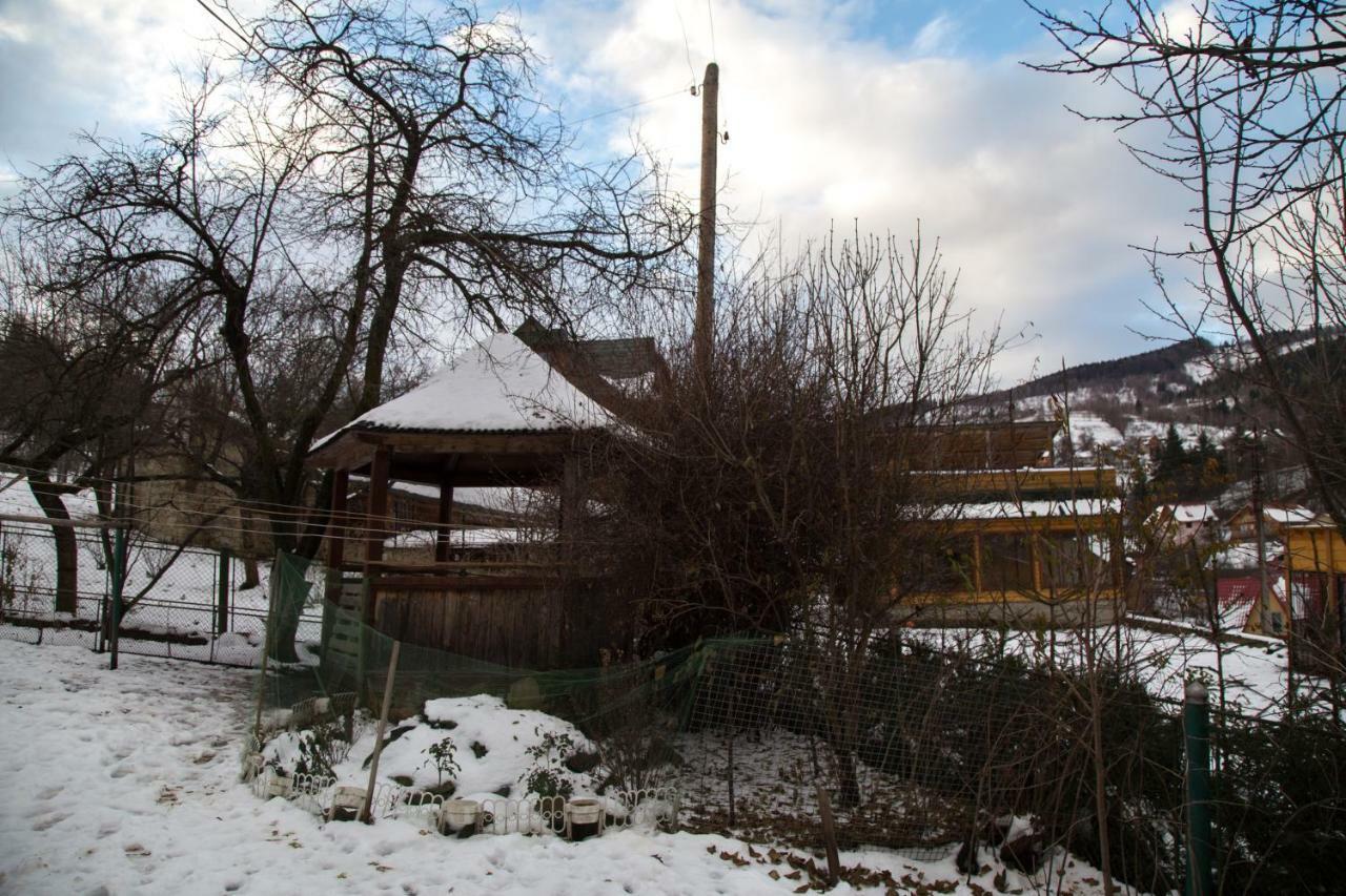 Zabava Apartamento Yaremche Exterior foto